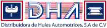 https://www.dhasa.mx/public/images/small-logo.png